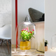 Illustration for article titled Grow a Miniature Winter Garden With This Hanging Terrarium Lamp